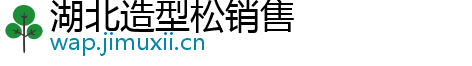 湖北造型松销售